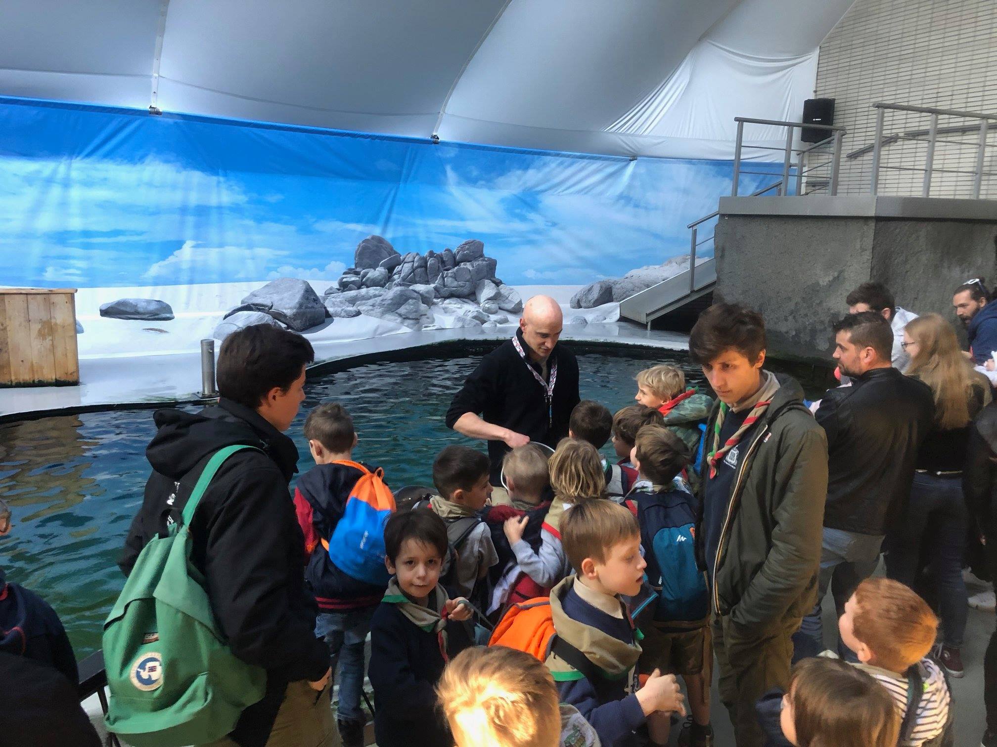 Sint-Martinus den XIIde - Zoo Antwerpen Kapoenen